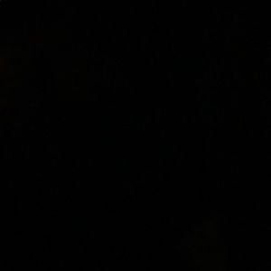 Meet your Posher, Layla